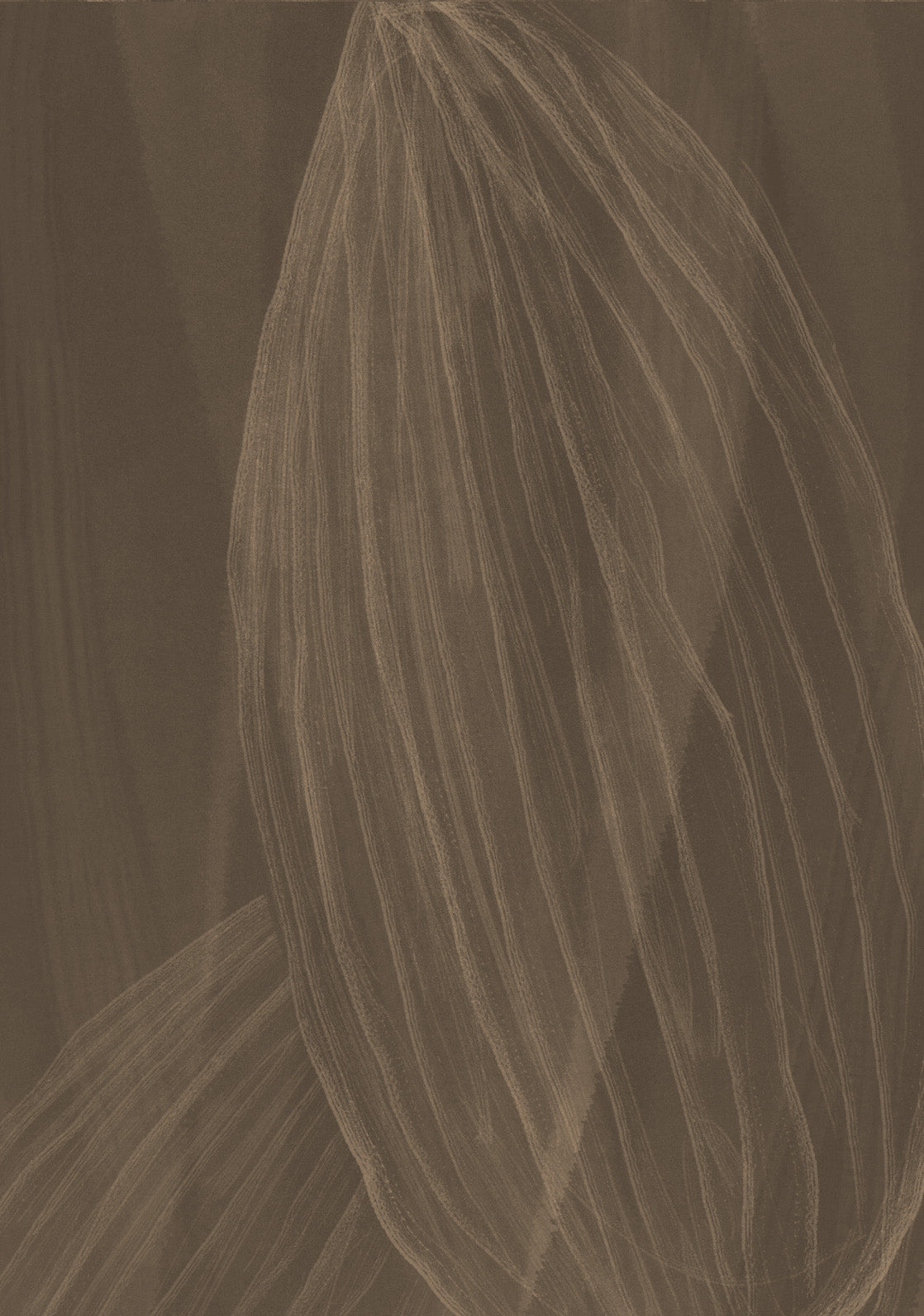 Spray Bucal 10ml Cardamomo.