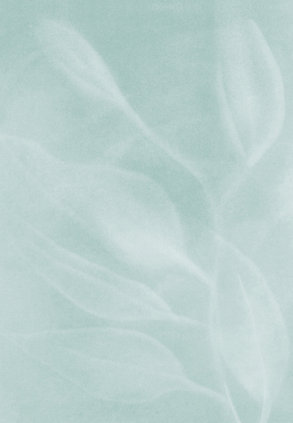 Eucalyptus Oral Spray 10ml