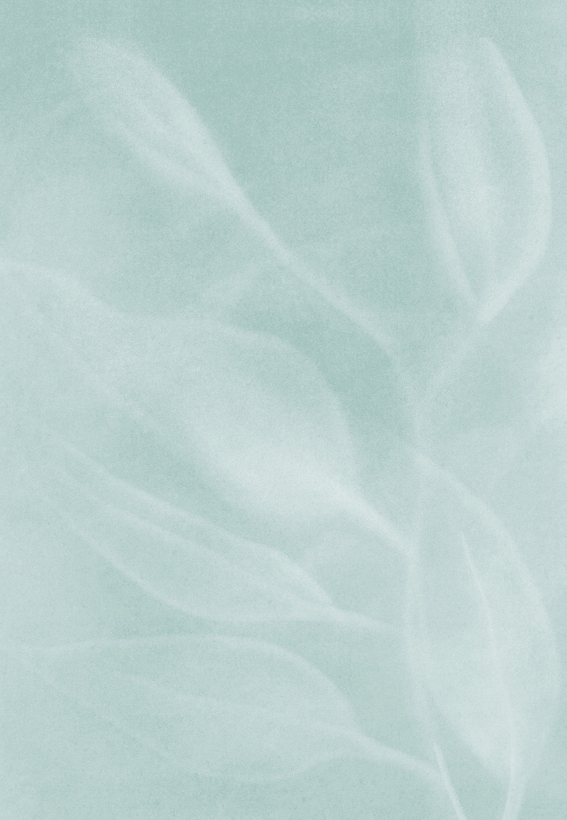 Spray Bucal 10ml Eucalipto