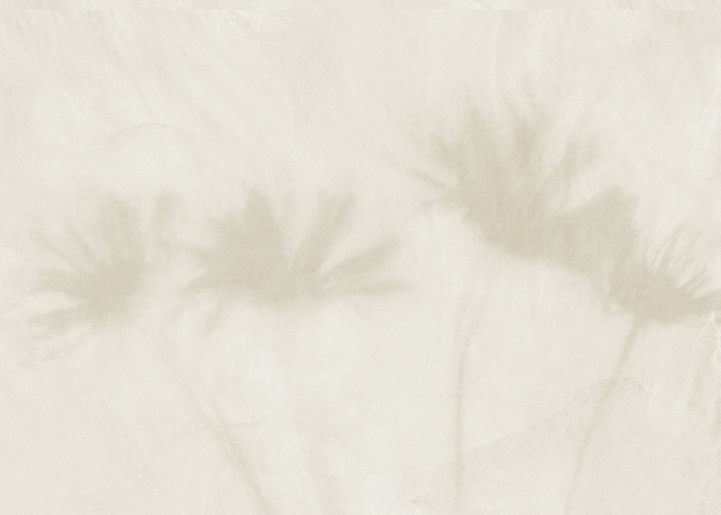 Spray Bucal 10ml Natural.